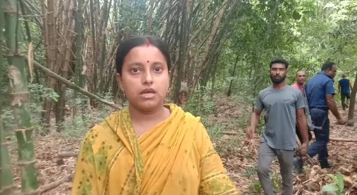 লোহাগড়ায়,জেলহাজতে থাকা ব্যক্তির জমির গাছ জোরপূর্...