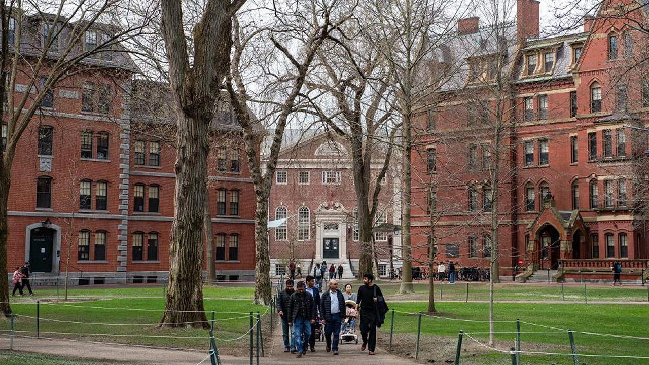 বিদেশি শিক্ষার্থী ভর্তি বন্ধ করল ট্রাম্প প্রশাসন...