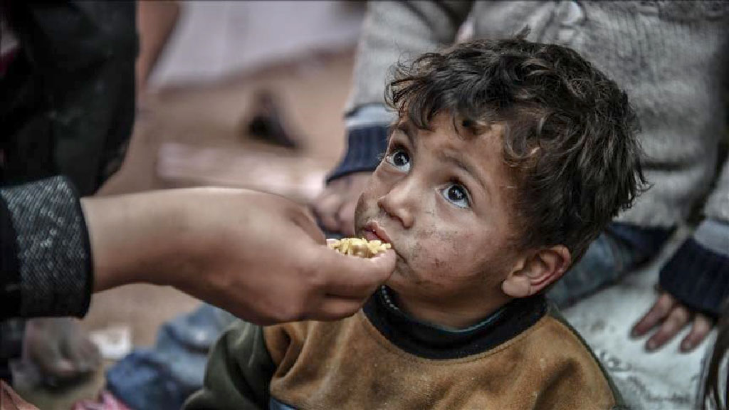 দিনের পর দিন অনাহারে কাটাচ্ছে গাজার মানুষ, বাড়ছে ম...