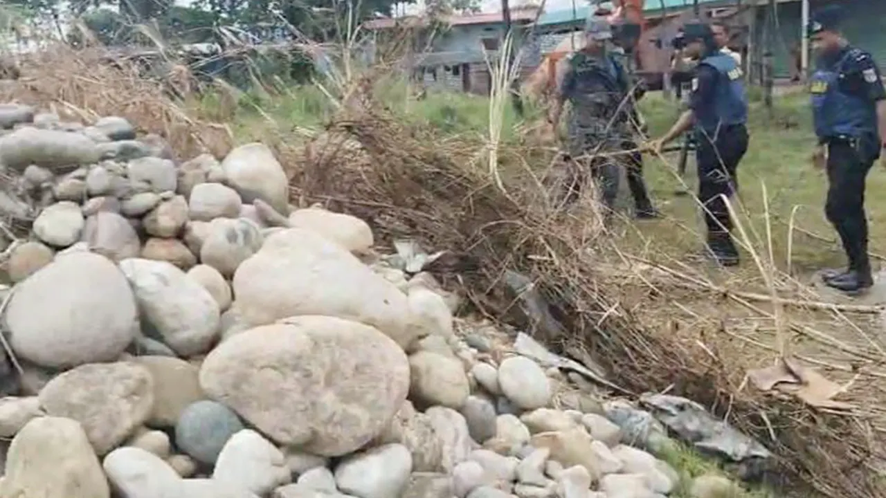 বাঁশের পাতার নিচে মিলল ৩৭ হাজার ঘনফুট সাদাপাথর...