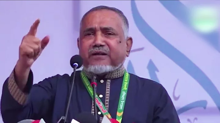 পাকিস্তানের উপ-প্রধানমন্ত্রীর সঙ্গে একাত্তর নিয়ে আ...